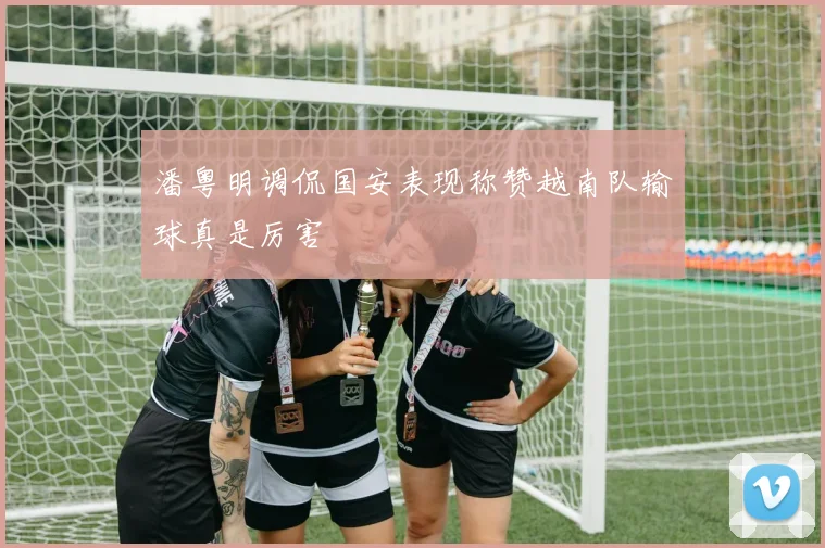 潘粤明调侃国安表现称赞越南队输球真是厉害
