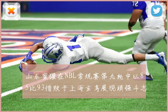 山东蜜獾在NBL常规赛第九轮中以85比93惜败于上海玄鸟展现顽强斗志