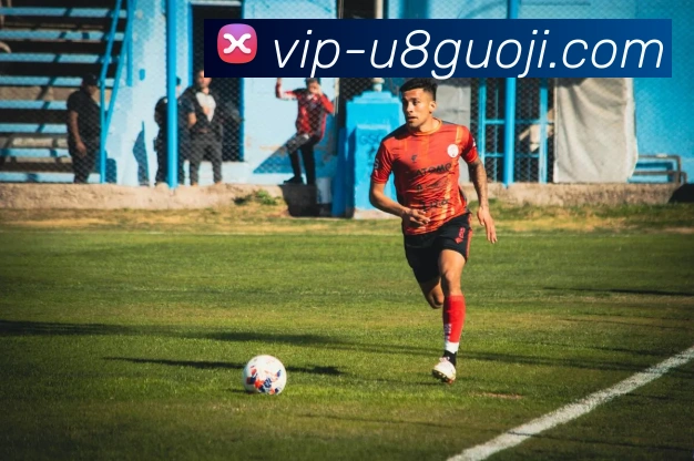 U8国际发展历程